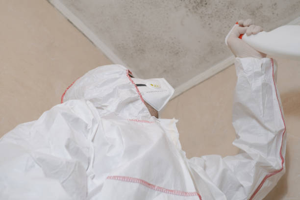 Best Certified Mold Removal  in Shafter, CA