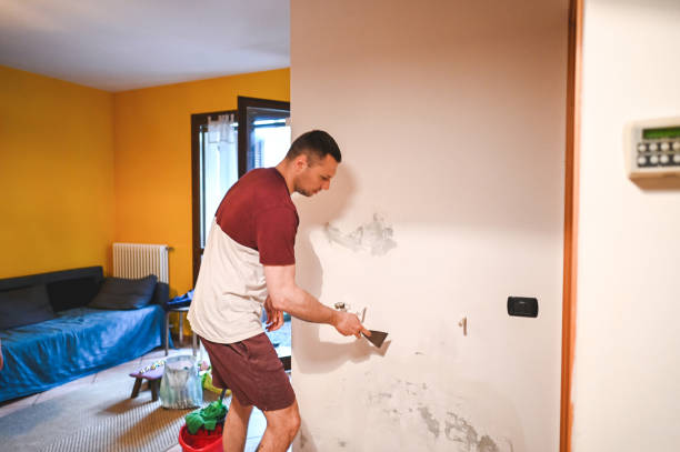 Best Fast Mold Removal  in Shafter, CA