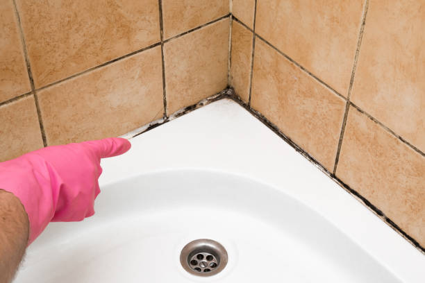 Best Residential Mold Removal  in Shafter, CA